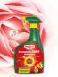 Preview: Substral Schädlingsfrei Careo Zierpflanze Rosenspray 800 ml, gegen Schädlinge wie Blattlaus, Schildlaus, Wolllaus, Raupen