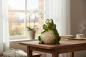 Preview: Frosch sitzend 36 cm Cartoon-Stil 704658