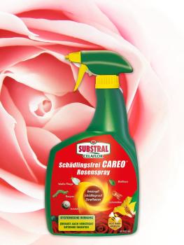 Substral Schädlingsfrei Careo Zierpflanze Rosenspray 800 ml, gegen Schädlinge wie Blattlaus, Schildlaus, Wolllaus, Raupen
