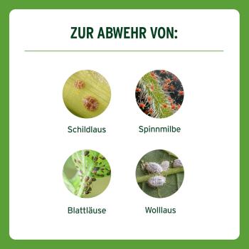 Substral Orchideen & Zimmerplanzen Schädlingfrei Careo Eco 300 ml