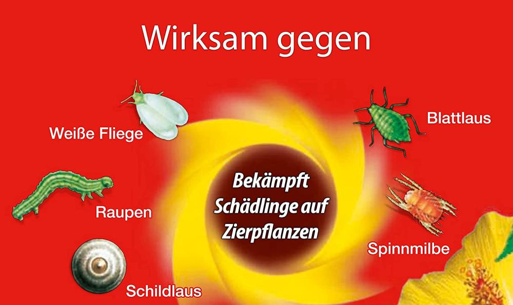 Substral Schädlingsfrei Careo Zierpflanze Rosenspray 800 ml, gegen Schädlinge wie Blattlaus, Schildlaus, Wolllaus, Raupen