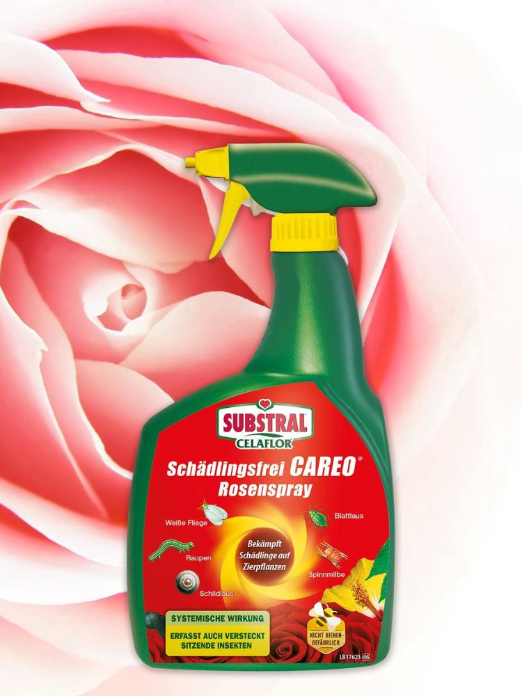 Substral Schädlingsfrei Careo Zierpflanze Rosenspray 800 ml, gegen Schädlinge wie Blattlaus, Schildlaus, Wolllaus, Raupen