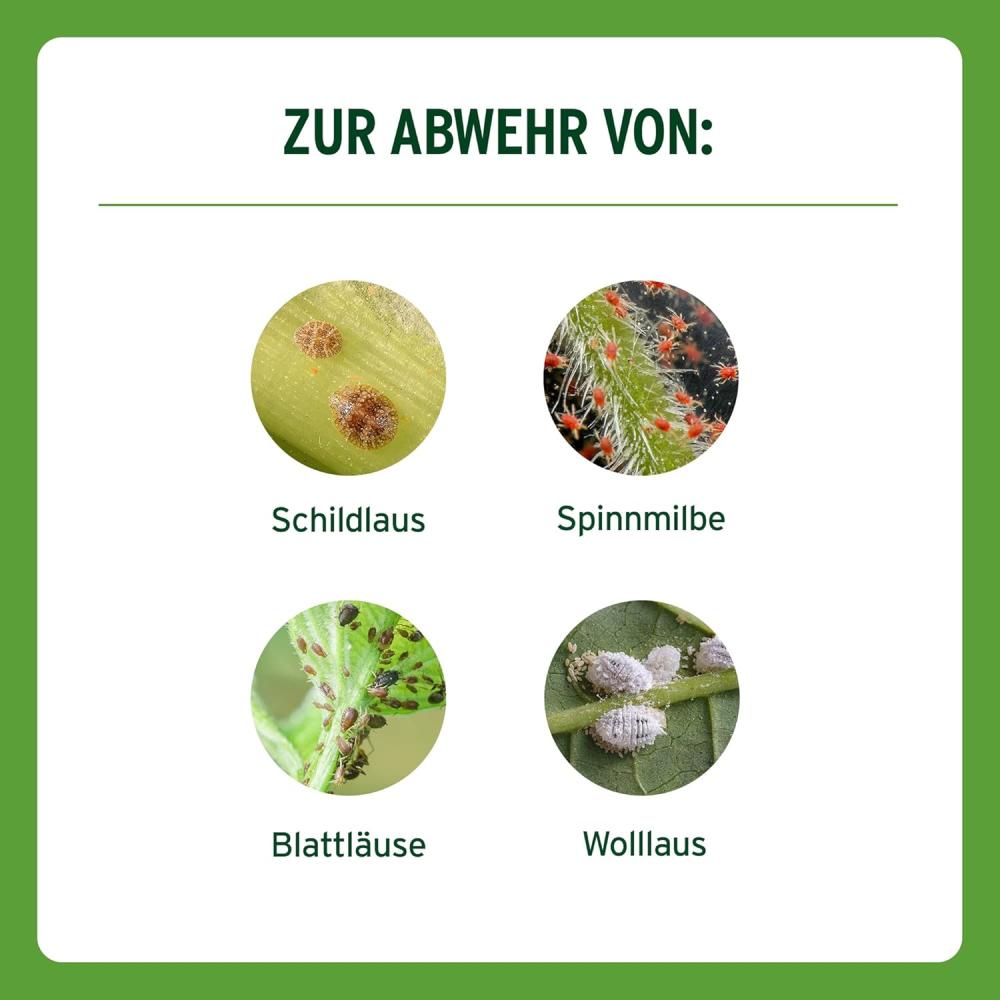 Substral Orchideen & Zimmerplanzen Schädlingfrei Careo Eco 300 ml