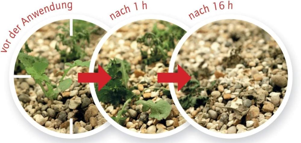 Roundup Express Konzentrat 250 ml - Unkrautfrei, Unkrautvernichter